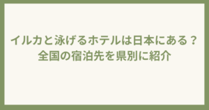 日本国内イルカと泳げるホテル